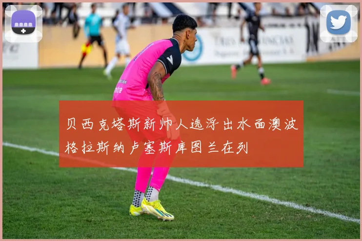 贝西克塔斯新帅人选浮出水面澳波格拉斯纳卢塞斯库图兰在列